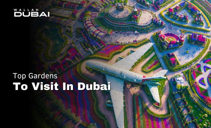 Top gardens to visit in dubai