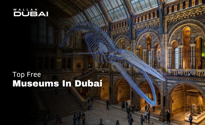 top free museums in Dubai